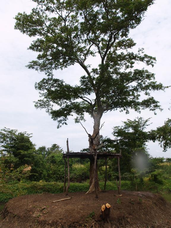 Welimaluwa Resort Sigiriya Kibissa 외부 사진