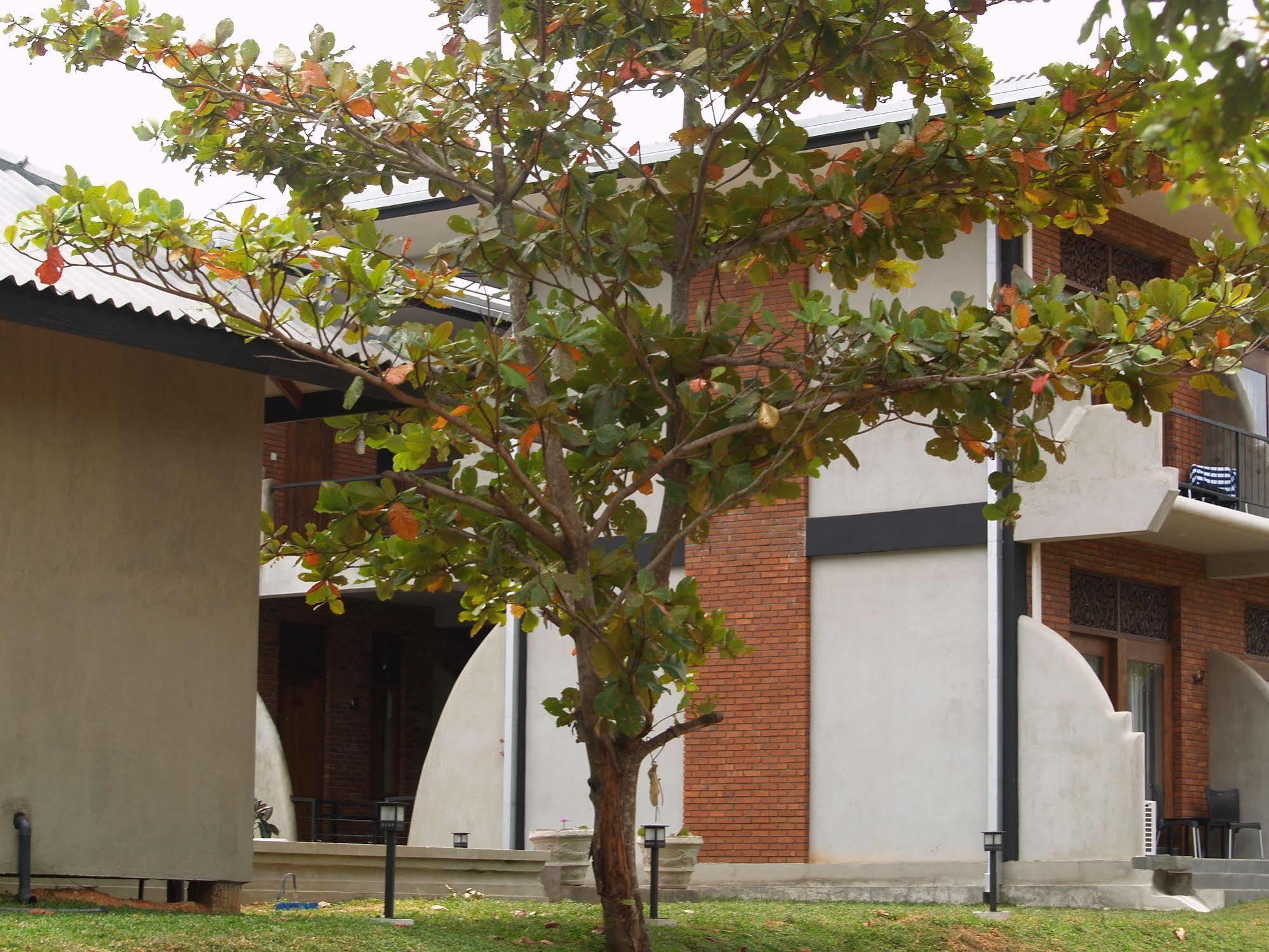 Welimaluwa Resort Sigiriya Kibissa 외부 사진
